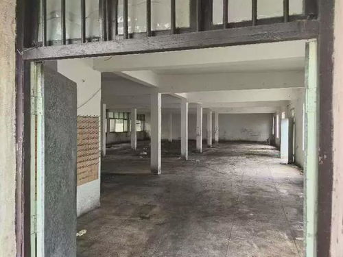 香飘飘食品宁波工厂被高价拍卖,银箔画收藏引发市场关注